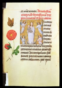 Staande Maagd en Kind, aanbeden door engelen, ca. 1515-20 door Flemish School